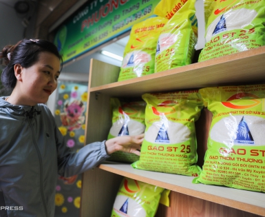 Nhiều nước tăng cường mua gạo Việt nửa cuối 2023